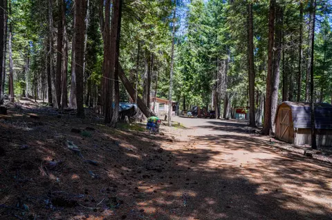 35482 Shenandoah Dr, Shingletown, CA 96088 photo 13