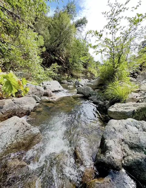 Other - 17038 Centrum Ln, Round Mountain, CA 96084 photo 26 of 29