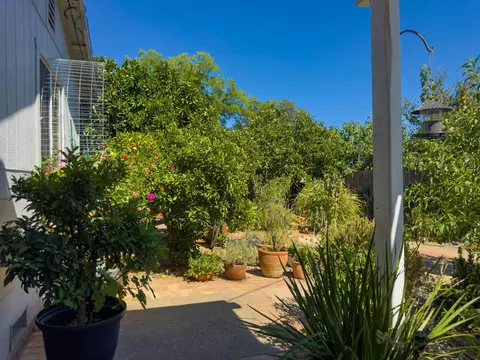 134 Walton Ave, Red Bluff, CA 96080 photo 38