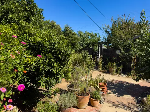 134 Walton Ave, Red Bluff, CA 96080 photo 54