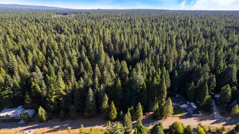 Nehemiah Drive, Shingletown, CA 96088 photo 6