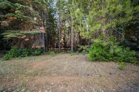 Nehemiah Drive, Shingletown, CA 96088 photo 4