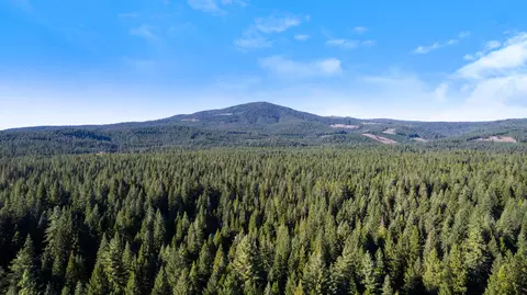 Nehemiah Drive, Shingletown, CA 96088 photo 8