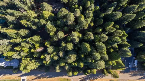 Nehemiah Drive, Shingletown, CA 96088 photo 3