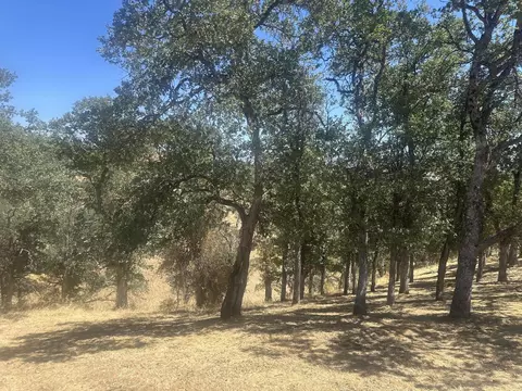 19432 Little Valley Dr, Cottonwood, CA 96022