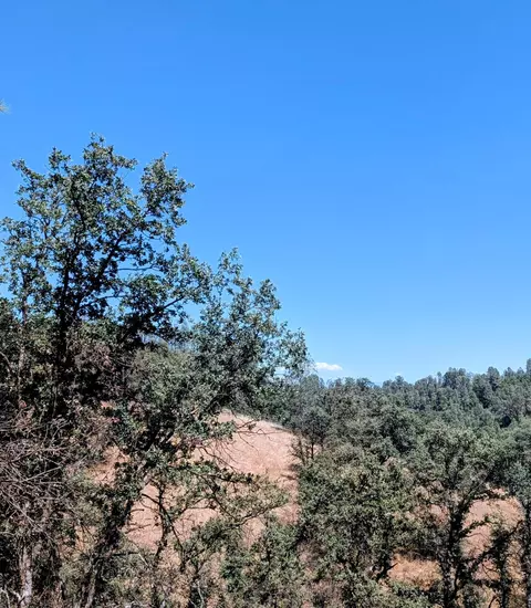 Other - 1480 Kenyon Dr, Redding, CA 96001 photo 7 of 7