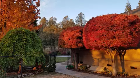 Exterior - 15553 Mountain Shadows Dr, Redding, CA 96001 photo 12 of 12