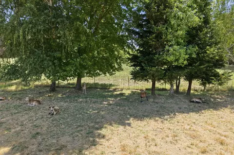 Exterior - 3339 Dodson Ln, Anderson, CA 96007 photo 9 of 35