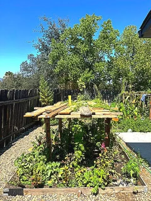 1392 Whistling Dr, Redding, CA 96003 photo 6