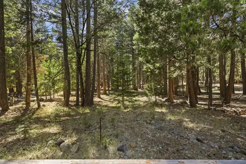 Exterior - 34540 Twin Cedars Rd, Shingletown, CA 96088 photo 10 of 13