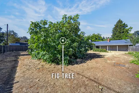 Exterior - 1943 Lindeena Ln, Redding, CA 96002 photo 5 of 9