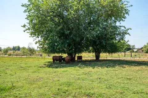 Other - 22058 Lone Tree Rd, Anderson, CA 96007 photo 18 of 19
