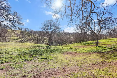Exterior - 15857 Bolo Ct, Red Bluff, CA 96080 photo 9 of 9