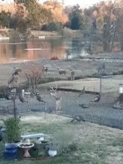 Other - 3090 Valentine Ln, Redding, CA 96001 photo 8 of 8