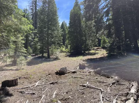 0 Range Rd, Alturas, CA 96101 photo 13