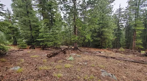 0 Range Rd, Alturas, CA 96101 photo 36