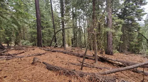 0 Range Rd, Alturas, CA 96101 photo 21