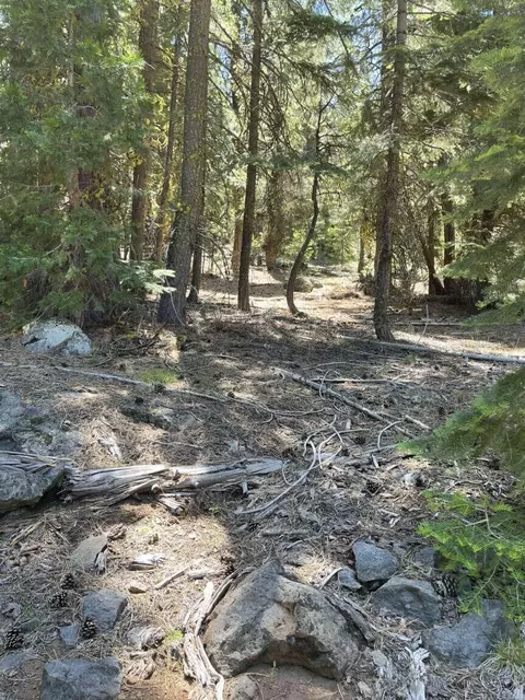 0 Range Rd, Alturas, CA 96101 photo 7