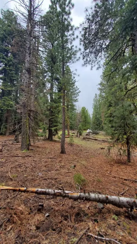 0 Range Rd, Alturas, CA 96101 photo 28