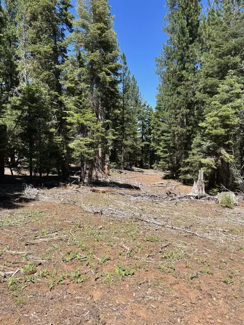 0 Range Rd, Alturas, CA 96101 photo 10