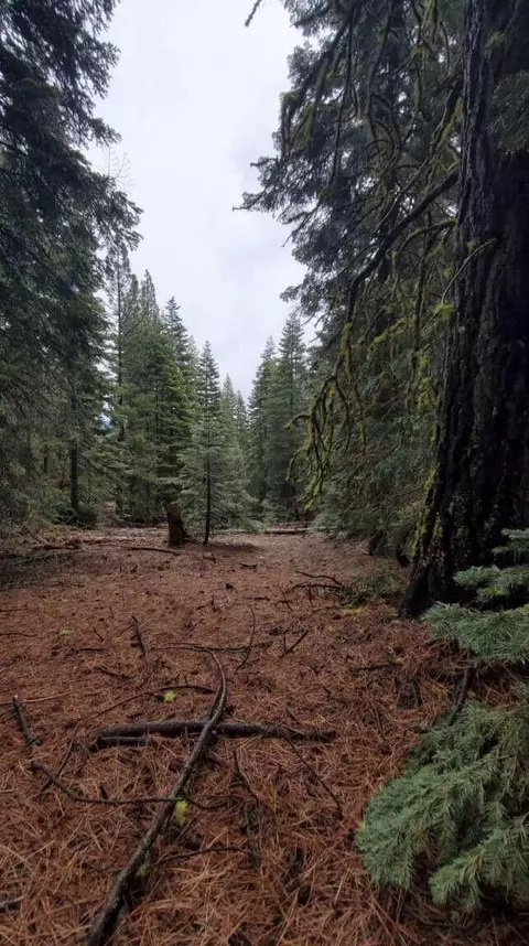 0 Range Rd, Alturas, CA 96101 photo 23
