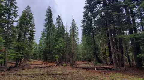 0 Range Rd, Alturas, CA 96101 photo 26