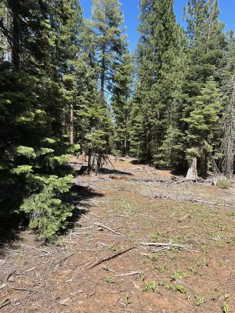 0 Range Rd, Alturas, CA 96101 photo 12