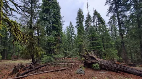 0 Range Rd, Alturas, CA 96101 photo 24