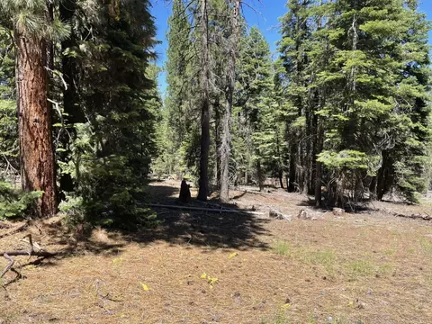 0 Range Rd, Alturas, CA 96101 photo 5