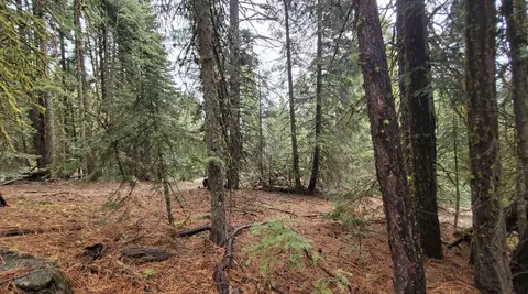 0 Range Rd, Alturas, CA 96101 photo 22