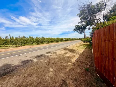 Exterior - 12897 State Highway 99e, Red Bluff, CA 96080 photo 6 of 6