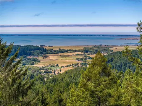 View/Area - 5100 Echo Ln, Bayside, CA 95524 photo 9 of 11