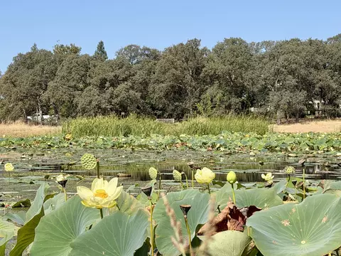 View/Area - 17925 Rivers Edge Dr, Red Bluff, CA 96080 photo 16 of 16