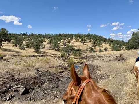 Other - 17925 Rivers Edge Dr, Red Bluff, CA 96080 photo 28 of 29