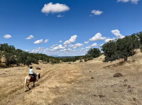 Other - 17925 Rivers Edge Dr, Red Bluff, CA 96080 photo 29 of 29