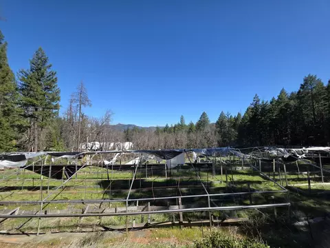 Other - 2141 Mc Alexander Rd, Hayfork, CA 96041 photo 9 of 10
