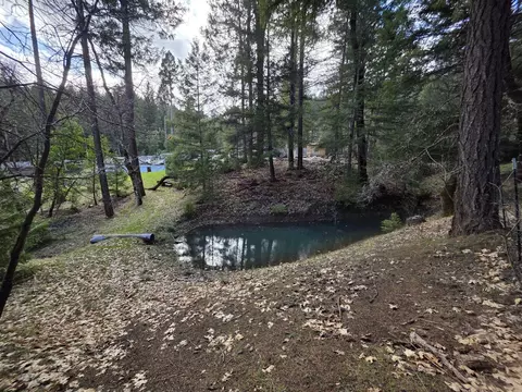 View/Area - 2141 Mc Alexander Rd, Hayfork, CA 96041 photo 1 of 1