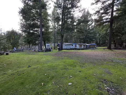 Exterior - 2141 Mc Alexander Rd, Hayfork, CA 96041 photo 8 of 18