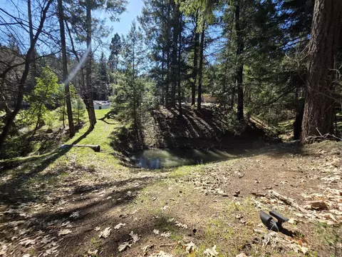 Exterior - 2141 Mc Alexander Rd, Hayfork, CA 96041 photo 14 of 18