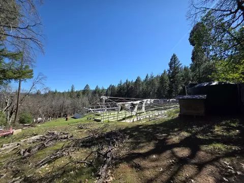 Exterior - 2141 Mc Alexander Rd, Hayfork, CA 96041 photo 18 of 18