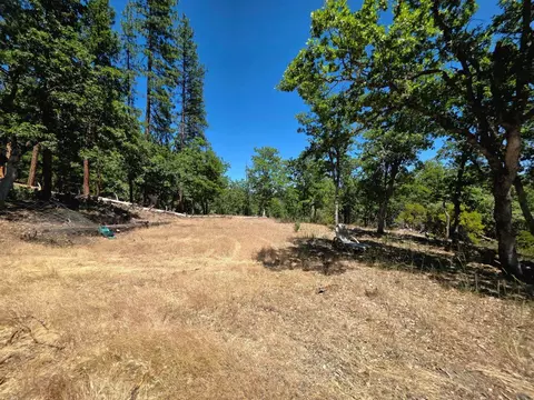 Exterior - 2129 Brady Rd, Hayfork, CA 96041 photo 12 of 13