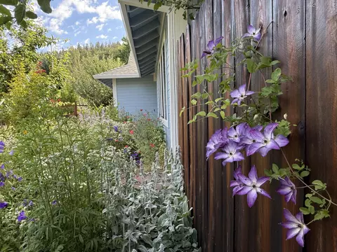 Exterior - 515 Mountain View Dr, Mount Shasta, CA 96067 photo 15 of 21