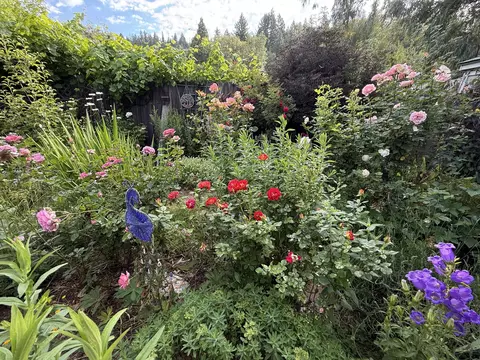 Exterior - 515 Mountain View Dr, Mount Shasta, CA 96067 photo 12 of 21