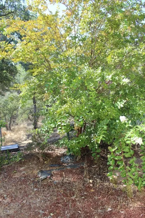 4741 Underwood Dr, Redding, CA 96003 photo 59