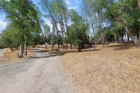 Exterior - 6949 Rector Creek Rd, Igo, CA 96047 photo 29 of 35