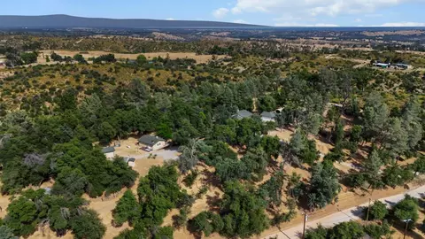 View/Area - 6949 Rector Creek Rd, Igo, CA 96047 photo 7 of 8
