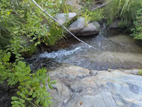 Other - 6949 Rector Creek Rd, Igo, CA 96047 photo 28 of 28