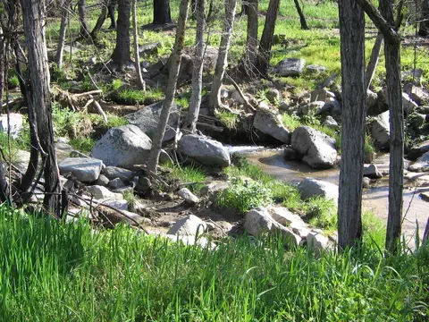 Other - 6949 Rector Creek Rd, Igo, CA 96047 photo 27 of 28