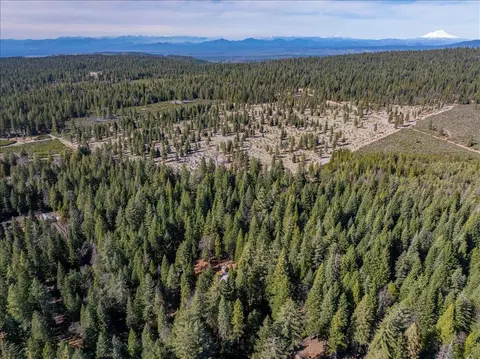 8495 Sky Tree Lane Ln, Shingletown, CA 96088 photo 27