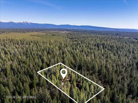 8495 Sky Tree Lane Ln, Shingletown, CA 96088 photo 3